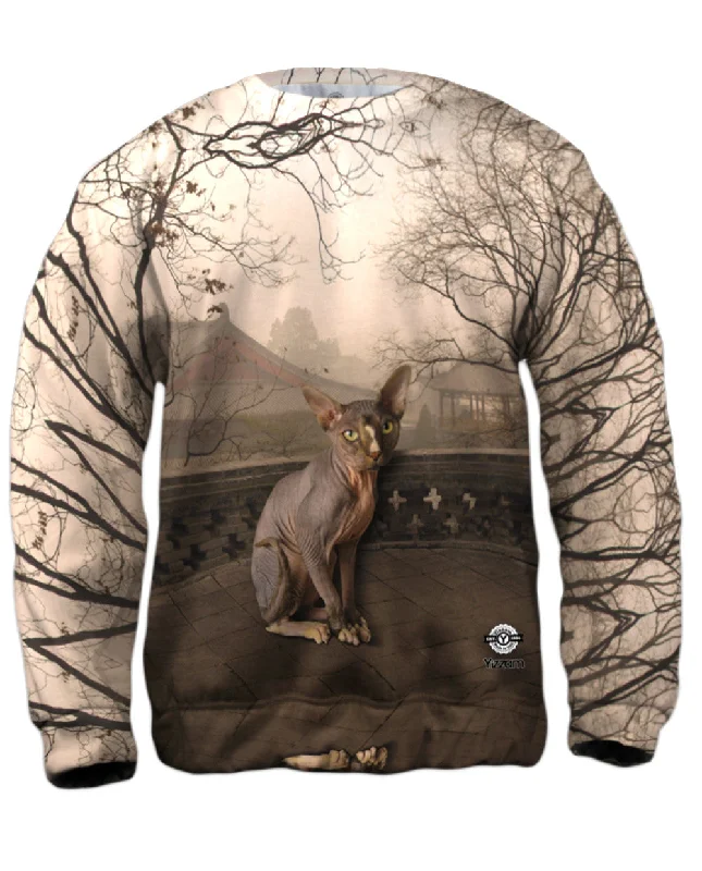 Reduced Price Sphynx Cat Sunset