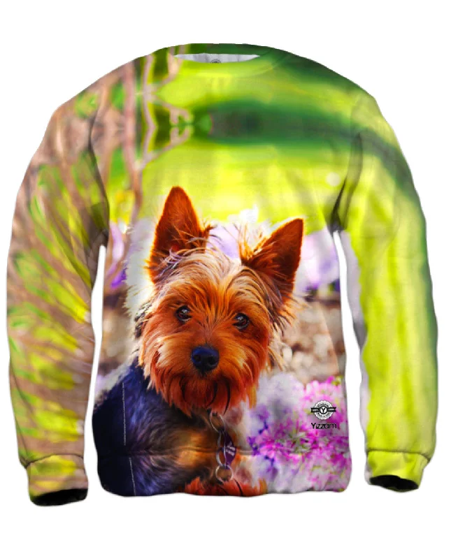 New Deal Springtime Yorkie