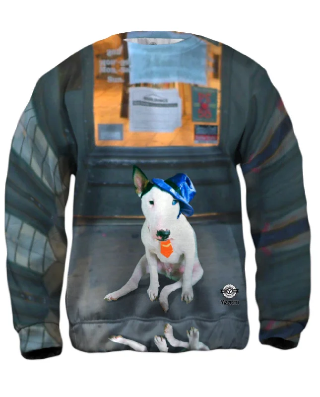 Now Available Storefront Bull Terrier